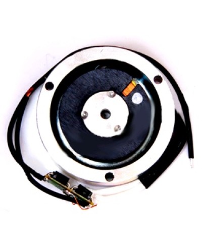 Электромагнит BY1500T Came 119RIY034 в Барнауле Запчасти для шлагбаумов и автоматики Pintop.ru