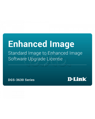 ПО D-Link DGS-3630-28PC-SE-LIC в Барнауле Беспроводное оборудование Pintop.ru