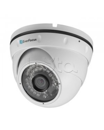 IP-камера видеонаблюдения купольная EverFocus ACE-IAV30 в Барнауле IP-камеры Pintop.ru