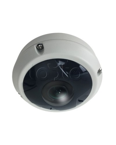 IP-камера видеонаблюдения купольная EverFocus ACE-KU89F в Барнауле IP-камеры Pintop.ru