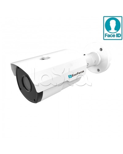 IP-камера видеонаблюдения в стандартном исполнении EverFocus EZN-2850 в Барнауле IP-камеры Pintop.ru