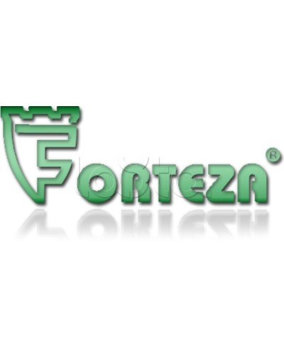 Плата сменная Forteza Плата БГр-4 в Барнауле Устройства защиты операционных процессоров (ОПС) Pintop.ru