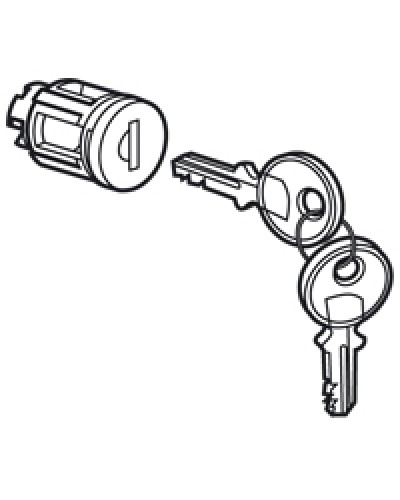 Цилиндр встроенный под ключ №405 Legrand 020291 в Барнауле Дополнительное оборудование для сетей Pintop.ru