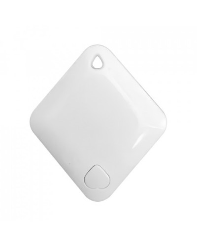 Брелок-идентификатор BLE ProxWay PW-Tag S1 W в Барнауле Оптовые идентификаторы Pintop.ru